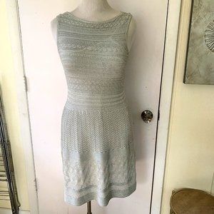 NWOT Ralph Lauren Silver Sleeveless Glitter Knee Length Dress Size P/L